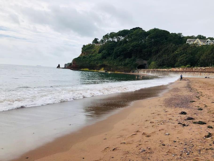 The Hidden House, Dawlish别墅 外观 照片