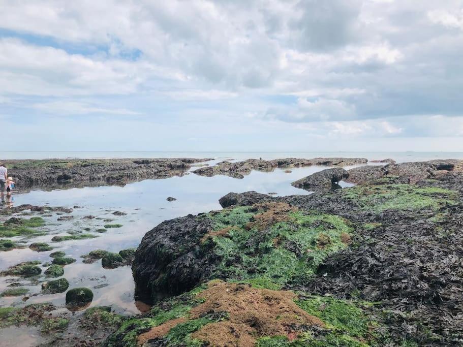 The Hidden House, Dawlish别墅 外观 照片