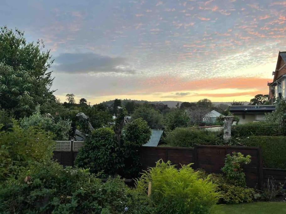 The Hidden House, Dawlish别墅 外观 照片